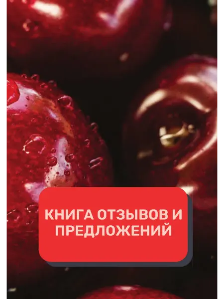 Литературное агентство Эмиля Ахундова Книга отзывов и предложений (Универсальная)