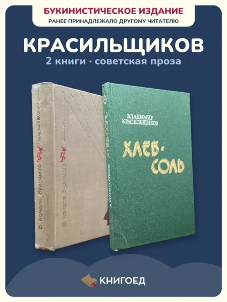 Книгоед Красильщиков советская проза романы история 2 книги классика