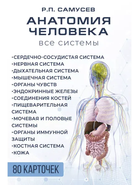 Издательство АСТ Анатомия человека. 80 карточек. Все системы