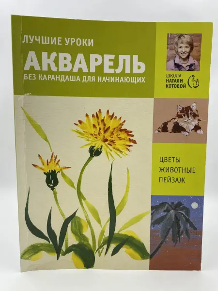 АСТ Лучшие уроки. Акварель без карандаша (Автограф)