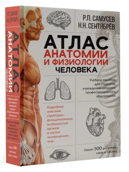 АСТ Атлас анатомии и физиологии человека