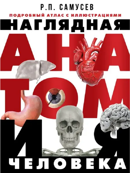 АСТ Наглядная анатомия человека Подробный атлас с илл