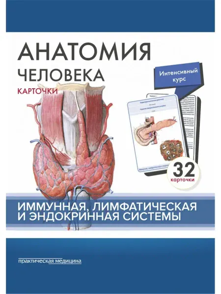 Особая книга Анатомия человека. Иммунная, лимфатическая и эндокринная