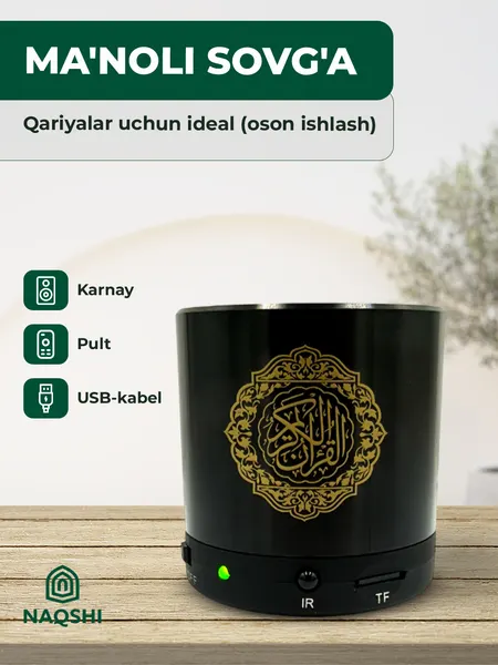 Колонка Коран Equantu SQ200, Bluetooth акустика, 8GB, с пультом