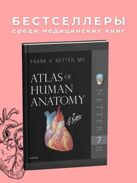 Netter Atlas of Human Anatomy A Systems Approach 8th Edition Медицина