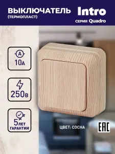 INTRO Выключатель Quadro 2-101-11 одноклавишный 10А-250В, IP20