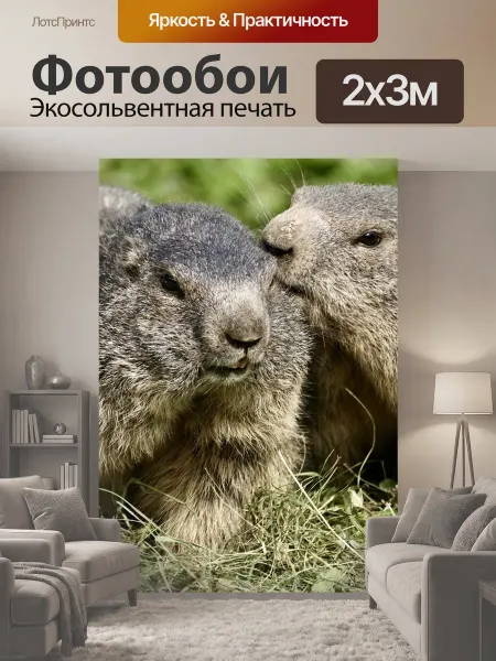 LotsPrints Фотообои "Сурок, грызун, альпы" 2x3м