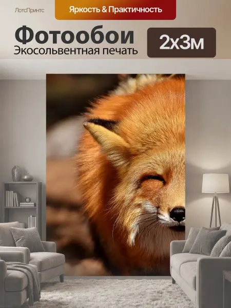 LotsPrints Фотообои "Лиса, веселье, дикое животное" 2x3м