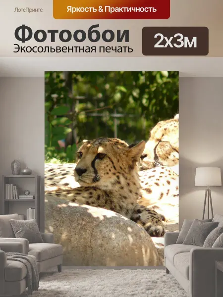 LotsPrints Фотообои "Гепард, кот, хищник" 2x3м