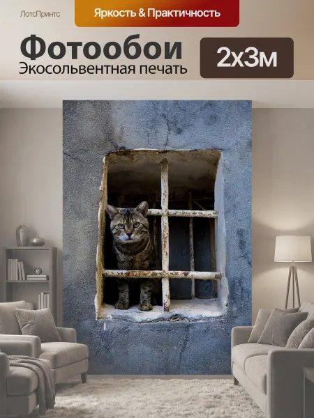 LotsPrints Фотообои "Кошка, животное, окно" 2x3м