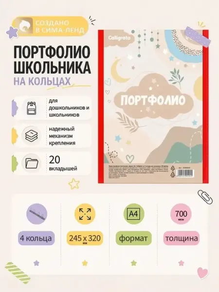 Пластиковая папка-портфолио с кольцами для школьника