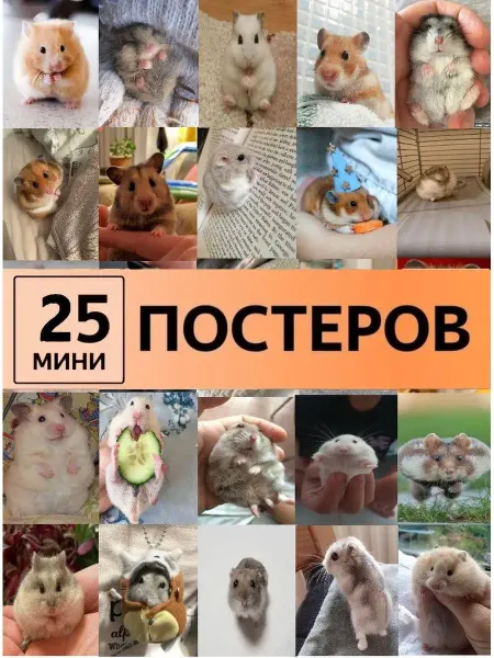 LMS Home постеры Карточки в детскую хомячки хомяки