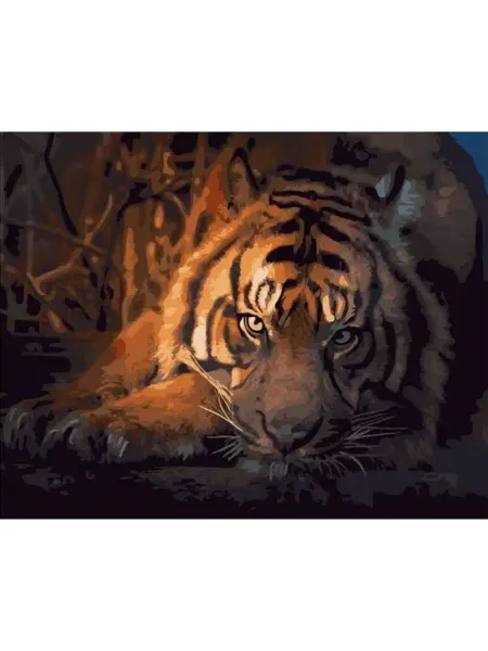 000 Art-Hobby-Market Картина по номерам тигр 40х50