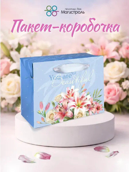 ООО "Печатный дом "Магистраль" Подарочная коробочка-пакет с лентами 23*18*11 см
