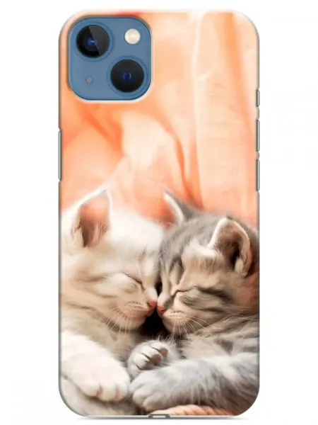 360skin Чехол на Iphone 13 котята (женский)