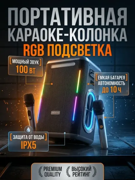 Караоке система колонка беспроводная с двумя микрофонами