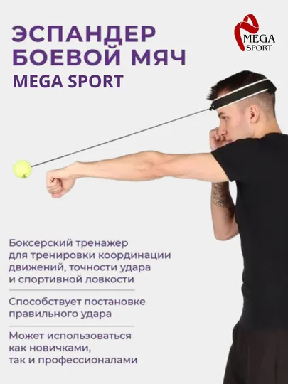 Тренажер мяч для бокса, скорость, точность, координация, Werkon 919