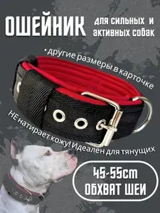 Ошейник широкий на пряжке. Размер 45-55см. Усиленный, для средних и крупных собак. Для прогулок, дрессировки, спорта. Чёрный с красным. Ширина 4,8см