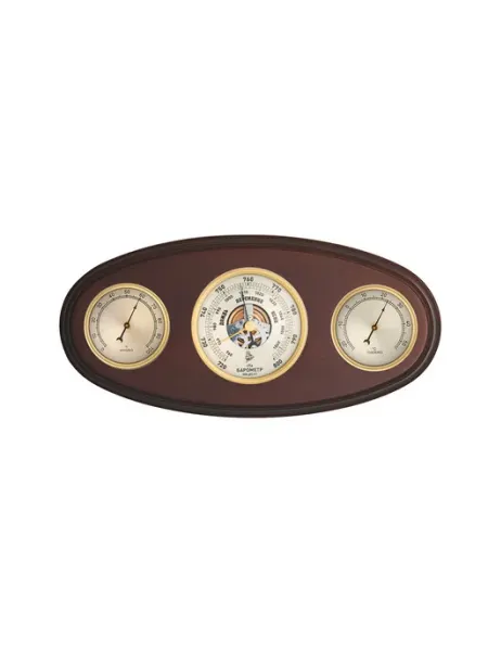 БРИГ Метеостанция настенная БМ93004-1-О