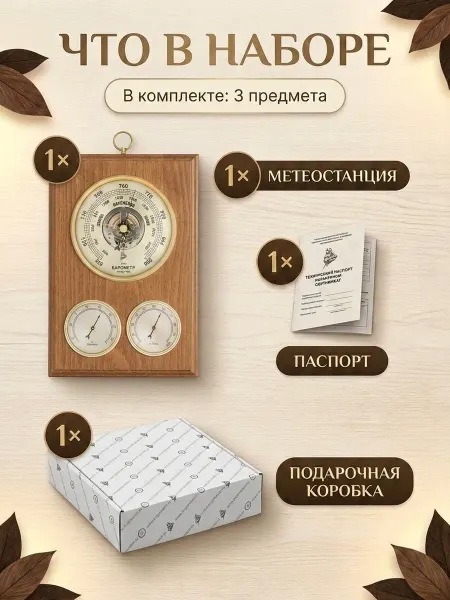 БРИГ Метеостанция механическая БМ93301-ТГБ-О настенная