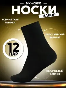 Носки АЛЬША мужские носки мужские, 10 пар