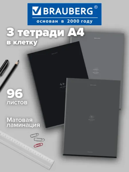 Brauberg Тетрадь в клетку 96 листов А4 общая для записей набор 2 шт