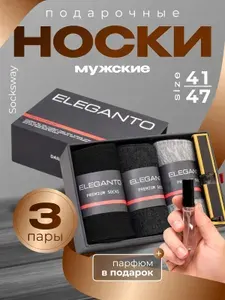 Носки SockSway мужские мужские , 3 пары