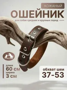 Ошейник для собак кожаный безразмерный , для средних пород, ширина 3 см