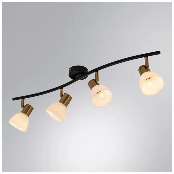 Arte Lamp Спот FALENA A3117PL-4BK