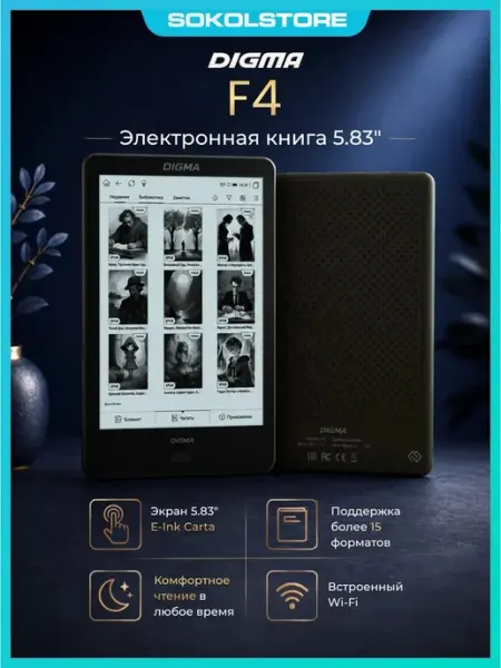 Digma 5.83" Электронная книга F4B, черный