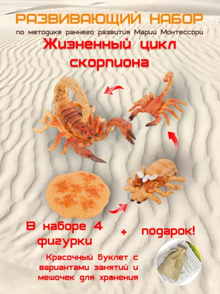 Animal paradise Жизненный цикл Скорпион набор фигурок