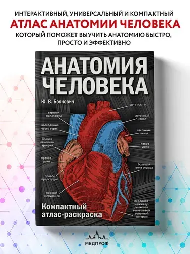 Анатомия человека: компактный атлас-раскраска | Боянович Юрий Владимирович