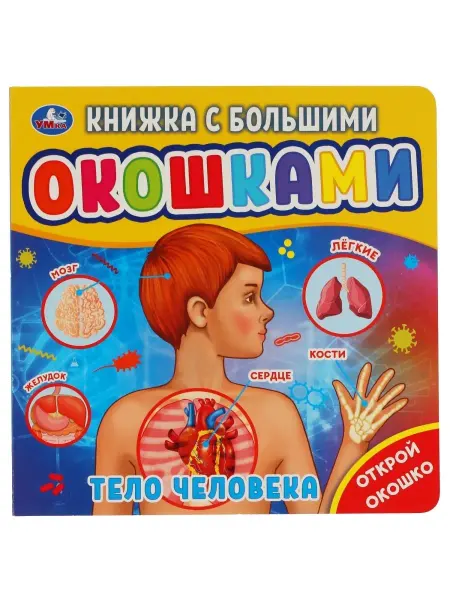 Умка Книжка игрушка с большими окошками Тело человека