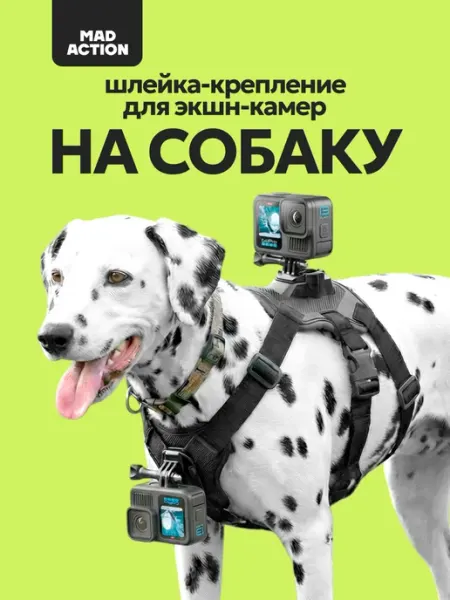 MAD ACTION Крепление на собаку для экшн-камер GoPro, DJI Osmo Action