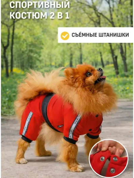 ZooTwoNati Спортивный комбинезон для собак мелких пород