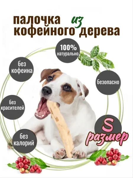 Деревянная палочка для собак из кофейного дерева