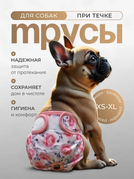 Шанталь Дог Трусы многоразовые для собак при течке