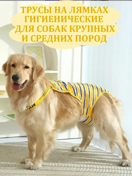 ЛеройкаЯ Трусы на лямках для собак крупных пород