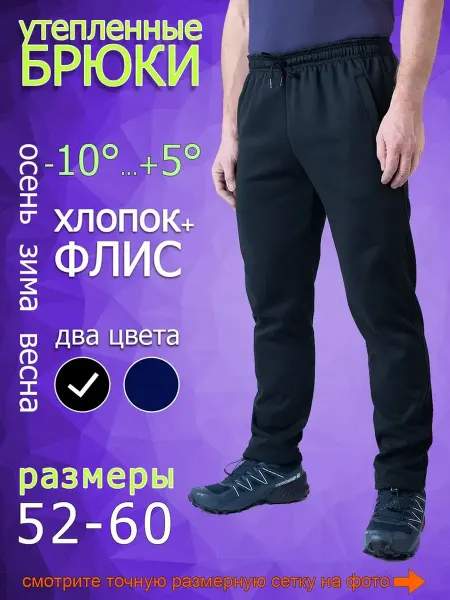 Этно Пипл. Брюки мужские спортивные утепленные с начесом