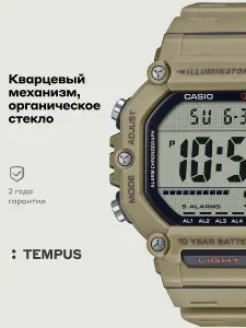 Мужские наручные часы Casio Collection AE-1600H-5A