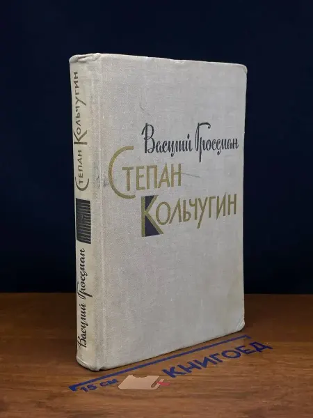 Художественная литература Степан Кольчугин В 2 книгах. Книга 2