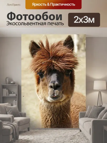 LotsPrints Фотообои "Альпака, млекопитающее, перу" 2x3м