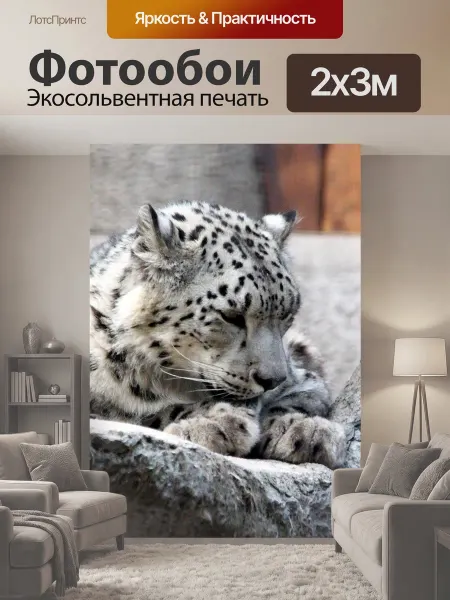LotsPrints Фотообои "Снежный барс, ирбус, снежный леопард" 2x3м