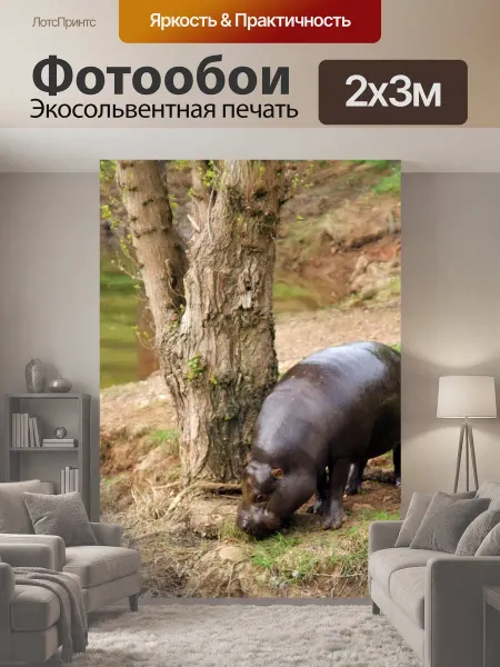 LotsPrints Фотообои "Животные, бегемот, карликовый" 2x3м