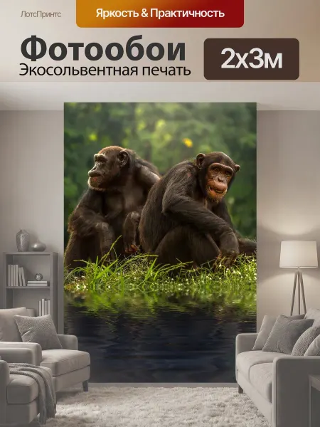 LotsPrints Фотообои "Шимпанзе, коричневый, бонобо" 2x3м