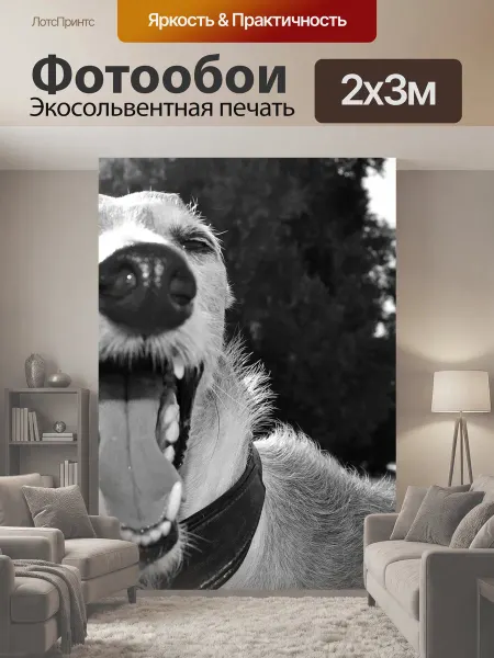 LotsPrints Фотообои "Собака, животное, борзая" 2x3м