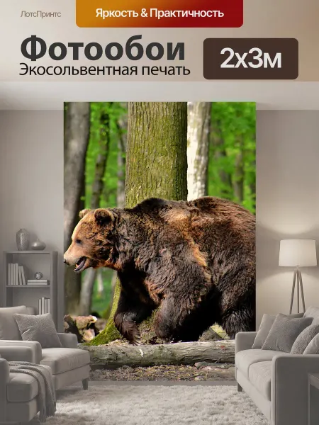 LotsPrints Фотообои "Бурый медведь, животное, лес" 2x3м