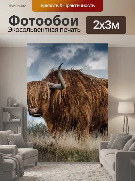 LotsPrints Фотообои "Высокогорная корова, бык, крупный рогатый." 2x3м