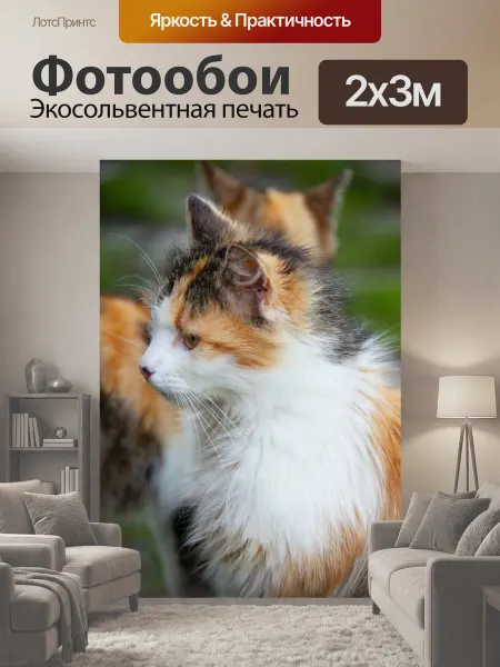 LotsPrints Фотообои "Восхитительный, животное, кошка" 2x3м