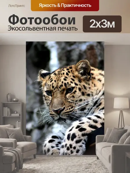 LotsPrints Фотообои "Гепард, кошка, кошачий" 2x3м